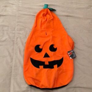 Pumpkin 🎃 Dog 🐶 Hoodie 🐾